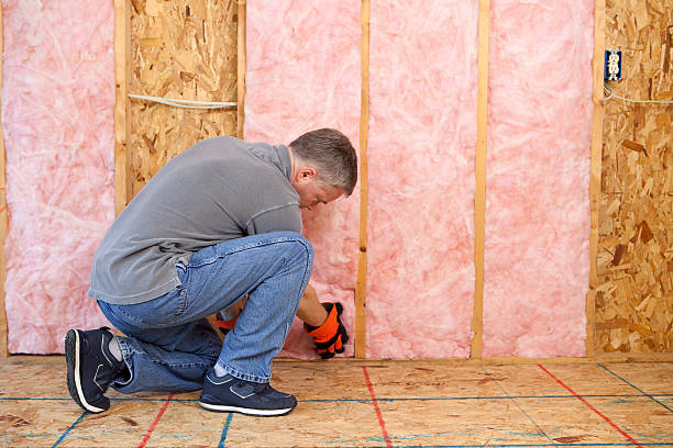 Professional Insulation Contractor in MS